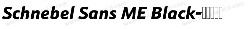 Schnebel Sans ME Black字体转换